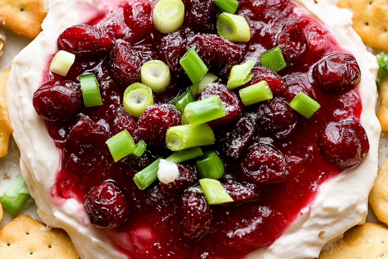 1trempette-de-fromage-a-la-creme-aux-canneberges